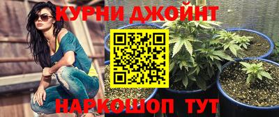 МДПВ Красноармейск