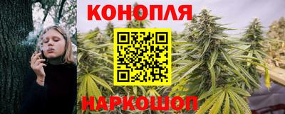 индика Котовск