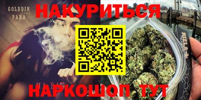 индика Котовск