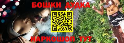 индика Котовск