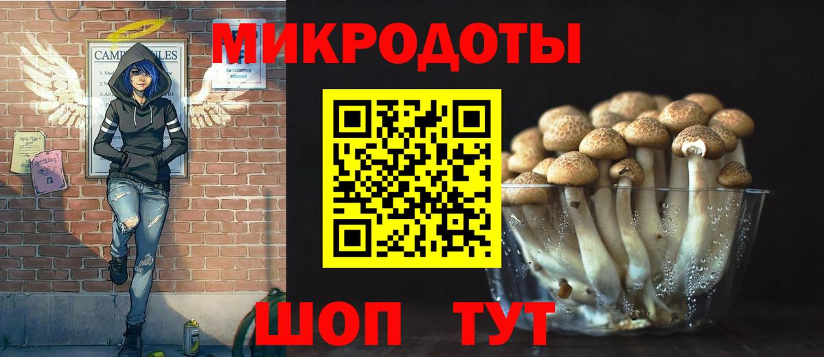 Воронеж  Псилоцибиновые грибы Cubensis  Вход с VPN  Галлюциногенные грибы GOLDEN TEACHER 